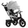 Велосипед трехколесный TILLY Impulse T-386/2 Серый
лен