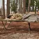 Кровать складная Naturehike CNH22JU033, сталь, зеленый