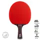 Ракетка для настольного тенниса Joola Match Pro (53022)