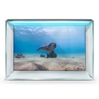 Наклейка в аквариум 3D морское дно, в разных размерах 40х65 см.