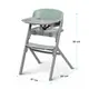 Стульчик для кормления Kinderkraft Livy Olive Green (KHLIVY00GRE0000)