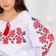 Вышиванка женская Moderika Розовая Долина красная 48