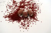 ПВА сітка для рибалка, сітка ПВА, ПВА матеріали, ПВА сітка для холодної води, 20мм розмотування 10 м Fishing Drive