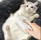 Щетка расческа с парой для кошек и собак, от USB, Steamy Brush