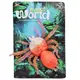 Паук резиновый "Insect world" (персиковый)