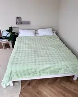 Плед Dushka Home Шиншилла 20993 200х230 см салатовый