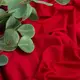 Ткань трикотаж Двухнитка плотный красный