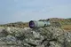 Подзорная труба Kowa TSN-82SV 82 mm Angled (10565)