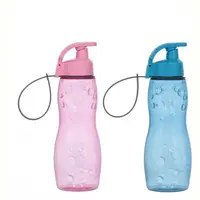 Пляшка для води Herevin Hanger Mix 161412-000 500 мл