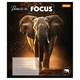 Тетрадь в линию А5 1Вересня Beasts in Focus 768065 96 листов