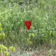 Флажки для обозначения взрывоопасных предметов 5 шт