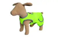 Брючки 601035 Zoobaza-21х32, салатовый