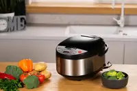 Мультиварка Ardesto MС-P13 860 Вт срібляста