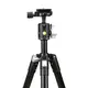 Штатив Vanguard Vesta FB 204ABS (Vesta FB 204ABS)