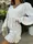 Платье AO247