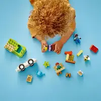 Конструктор LEGO DUPLO Town Догляд за бджолами та вуликами 22 деталі (10419)