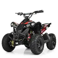 Квадроцикл Bambi HB-EATV1000Q-2ST V2