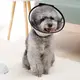 Защитный воротник Pipitao Pet Protective Cover №7 пластиковый для животных обхват шеи 15-21см