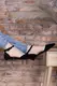 Туфли женские Fashion Unicat 2760 41 размер 26 см Черный
