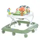 Детские ходунки Bambi M 6134-5 зеленые