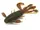 140170-085 Німфа силікон. Rage Bug LJ Pro Series 3,5 "/ 085
