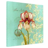 Картина на холсте Iris Iridaceae 50x50 см (H5050_RET012)