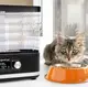 Сушка для фруктов и овощей MalTec DryExpert 450Вт (Польша)