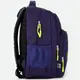 Рюкзак школьный GoPack Sharks GO-20-113-M-6