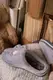 Тапочки комнатные женские серые код Тп140