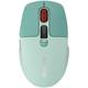 Мышь компьютерная безпроводная Canyon MW-26 Green CNS-CMSW26GR зеленая