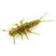 Stonefly 0.75" (12pcs.), #074 - Green Pumpkin Seed