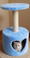 Домик-царапка для кошек АМУРЧИК с подиумом — игровой комплекс для кошек Амурчик