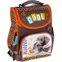 Рюкзак школьный Space Cool dog 988809 33х26х26 см коричневый