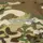 Спортивный костюм Basic Zip Multicam (7982), XXXL
