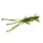 Силикон FishUp Shrimp 3" #042 Watermelon Seed