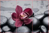 Фотошпалери текстуровані, вінілові Квіти, 250х380 см, fo01inV_fl11548