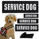 Набор шевронов 4 шт с липучкой Service Dog для служебных собак, кинологов, кинологическая служба, нашивка патч