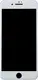 Защитное стекло Cooyee 3D Full Cover Tempered Glass Screen Protector iPhone 7/8/SE 2020 White