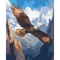 Картина по номерам "Полет над безграничностью" 40*50 см