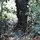 Naturehike CNK2450DS011, Size L, Black