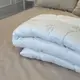 Одеяло евро стеганое Viluta Soft Лебяжий пух 21426 200x220 см белое
