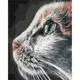 Картина по номерам "Котопрофиль" Brushme BS51792 40х50 см