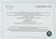 Набор для пива и виски "ТРИЗУБ" бокал для пива и виски, золото