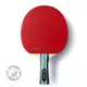 Ракетка для настольного тенниса Team Butterfly Advance FL (6256900002)
