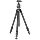 Штатив Vanguard VEO 5 264CB-160S (VEO 5 264CB-160S)