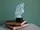 Сменная пластина для 3D светильников "Мыслитель" 3DTOYSLAMP
