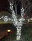 Гирлянда от сети на 200 лампочек 14112 20 м белая