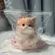 Игрушка – антистресс Сквиш Таба Котик 13 см ∙ Мягкая силиконовая игрушка Кошка
