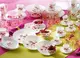 Сервиз столовый Luminarc Country Flower G1240 45 предметов