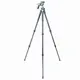 Штатив Vanguard Alta Pro 2+ 263CGHT (Alta Pro 2+ 263CGHT)
